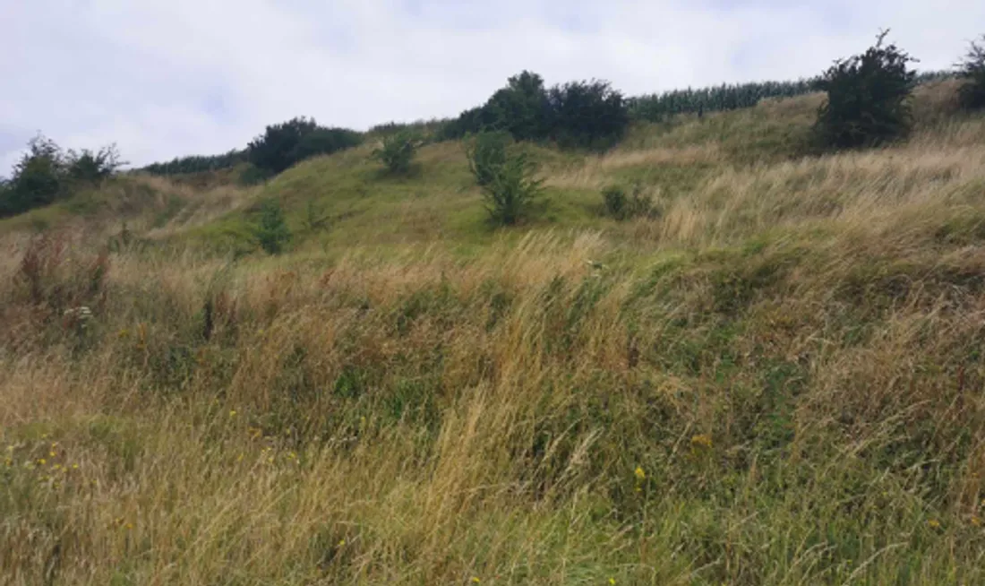 Les travaux vont débuter en mars