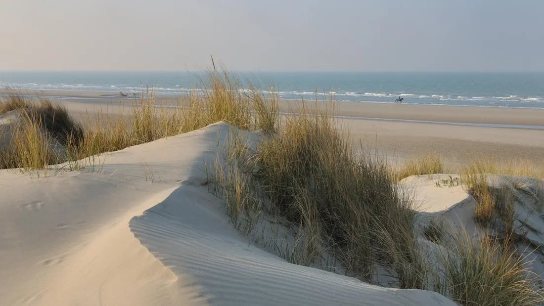 Office de Tourisme de Dunkerque