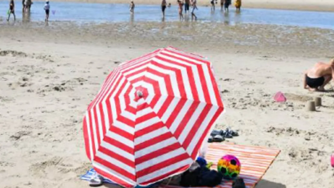 Les touristes étrangers ont été au rendez-vous en 2024.