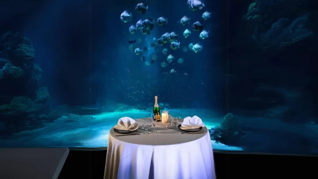 nausicaa escales saint valentin