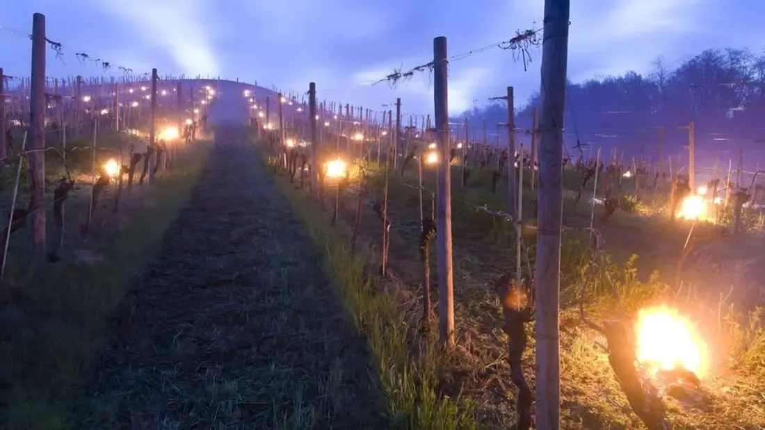 Ville de Sainte-Marie-Kerque