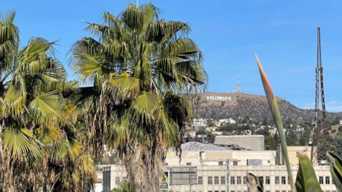 Le quartier de Jezabel n'a pas été impacté par les flammes