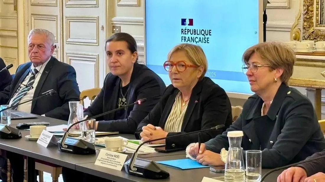 Facebook Natacha Bouchard, illustration