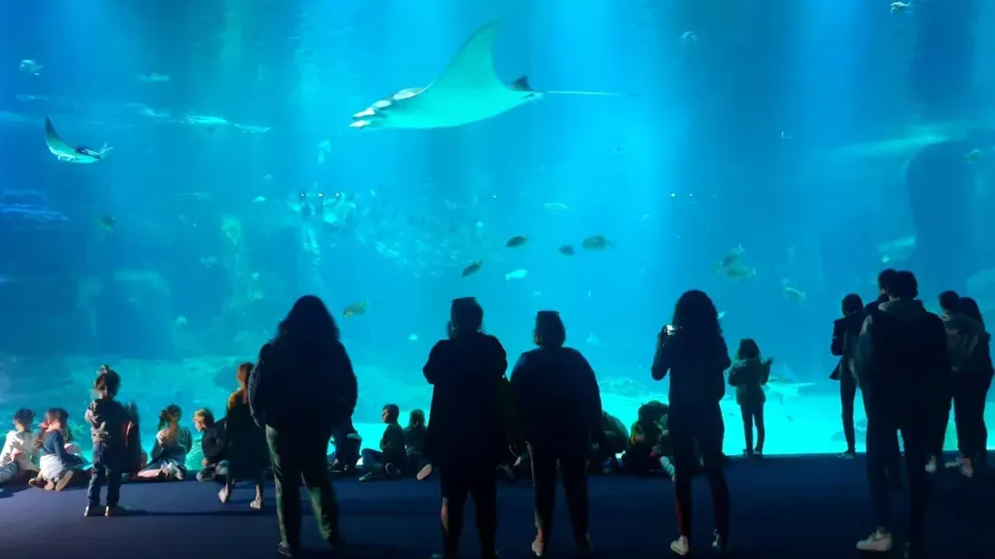 2025 a été une nouvelle fois une bonne année pour Nausicaá. 