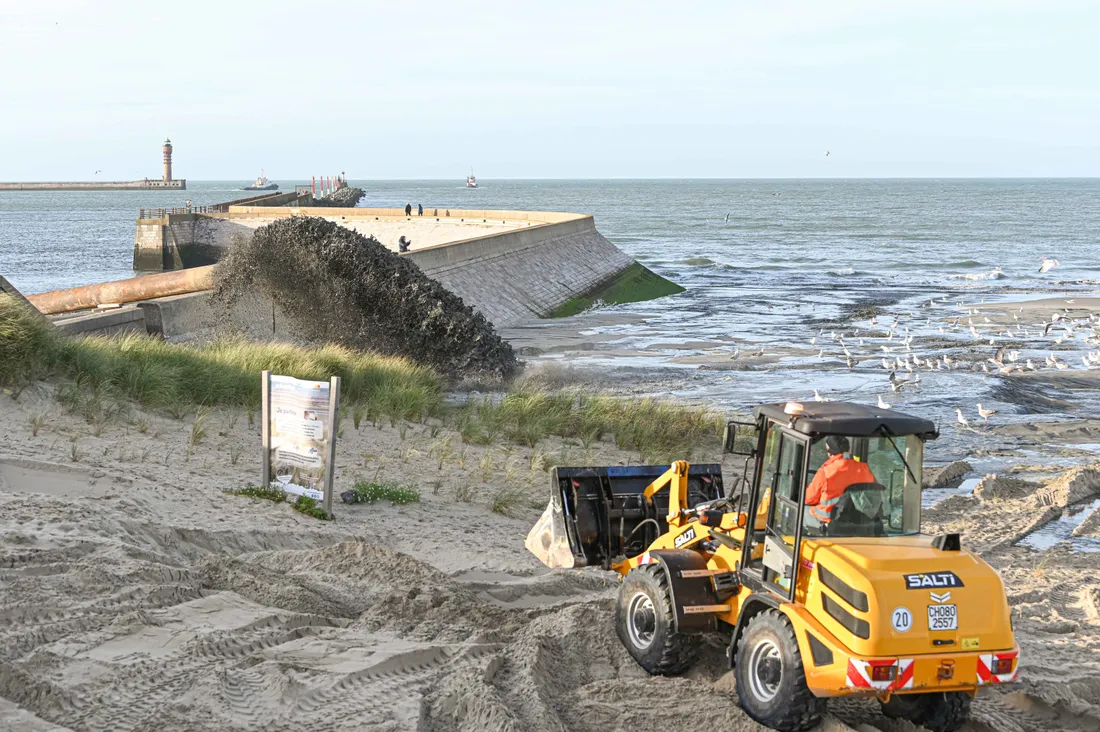 Réensablement plage Dunkerque