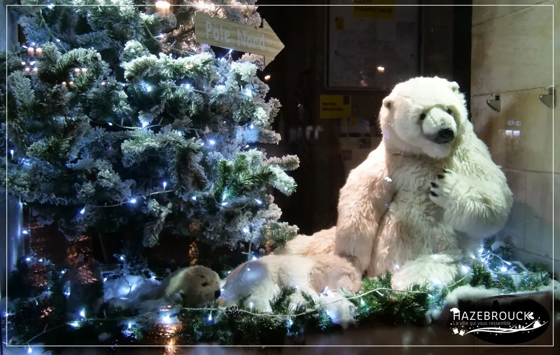 Ville d'Hazebrouck, archives