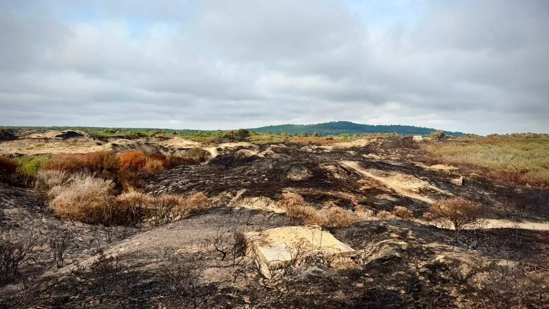 Le feu est maitrisé mais n'est pas encore déclaré éteint.
