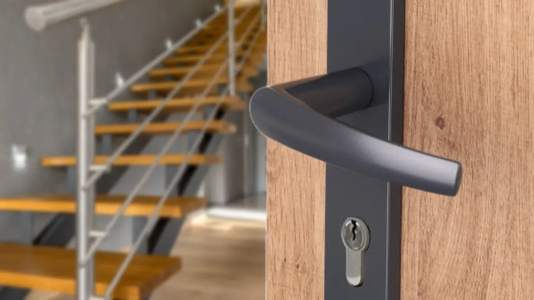 lapognée.fr, illustration