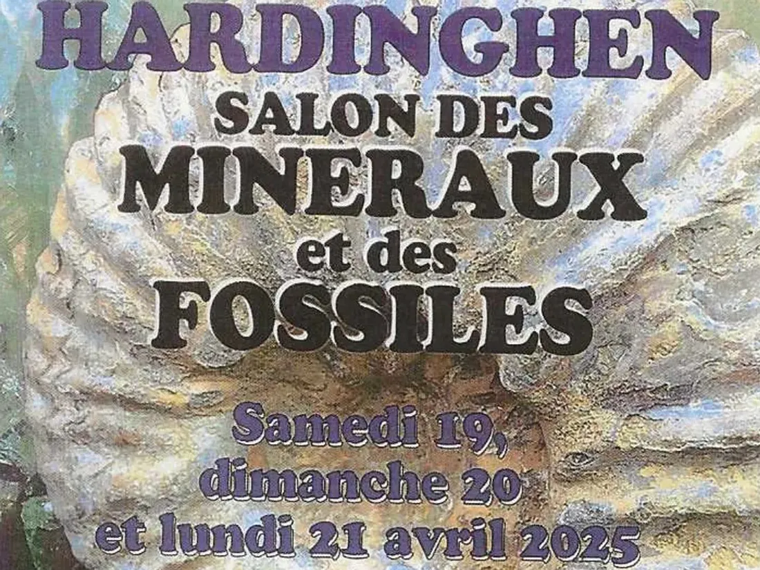 Salon des Minéraux et des Fossiles à Hardinghen