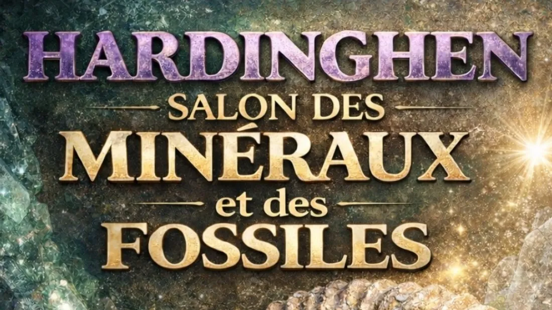 Salon des Minéraux et des Fossiles Hardinghen 2026