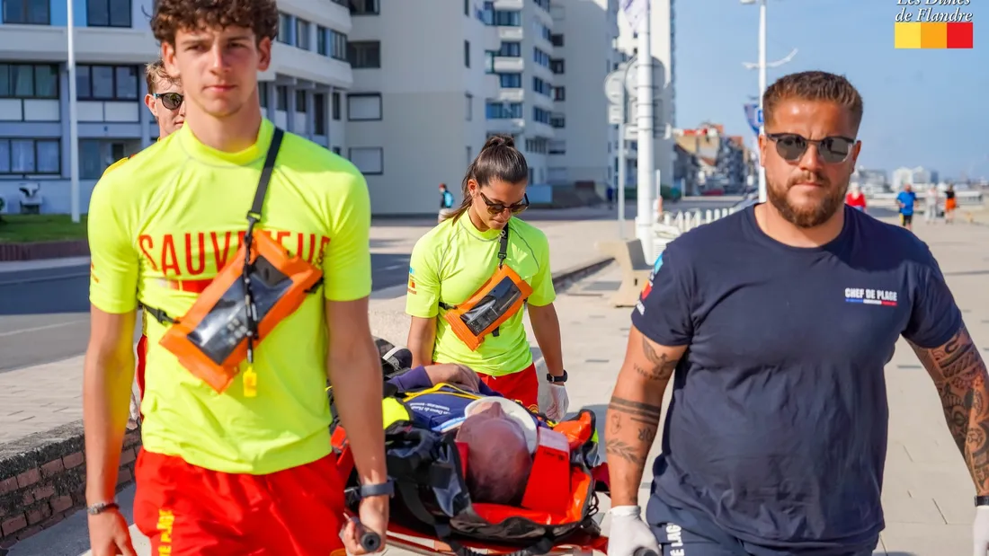 Les Dunes de Flandre, illustration