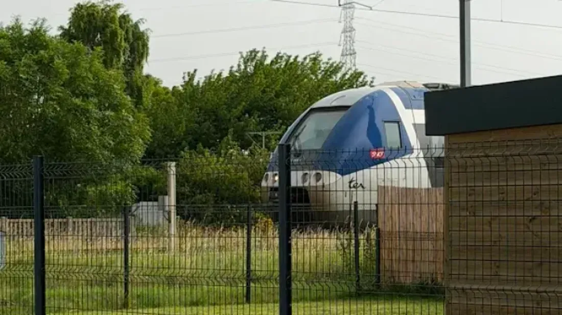 train