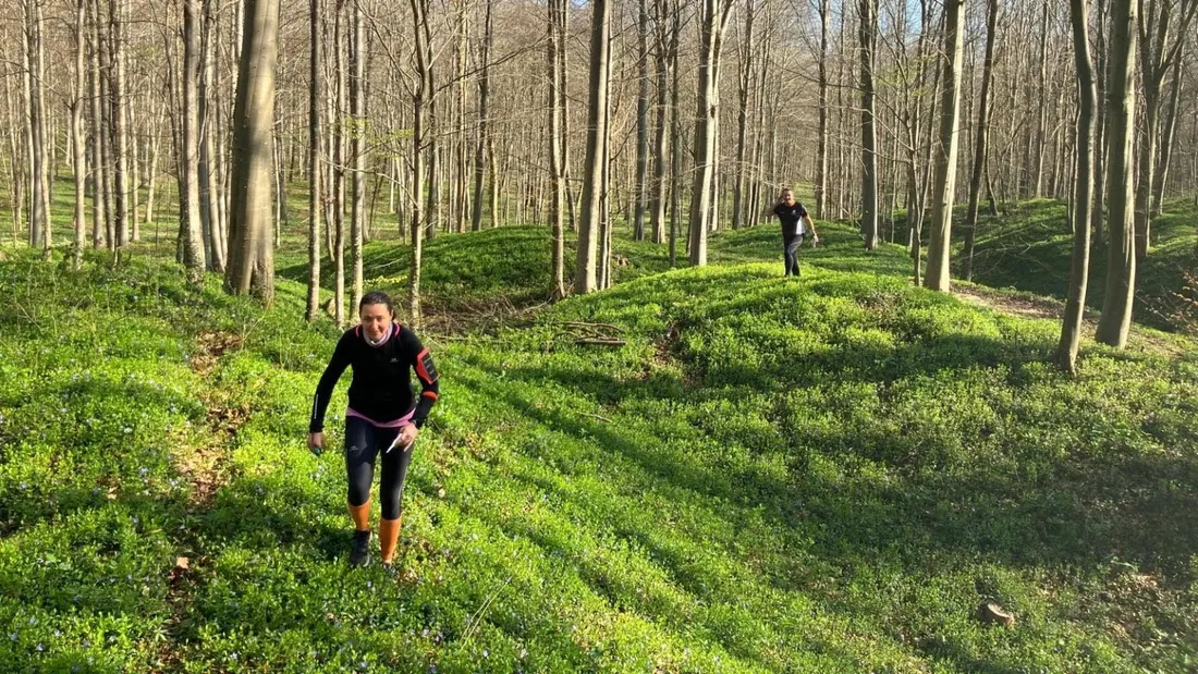 Les participants auront une carte et une boussole. 