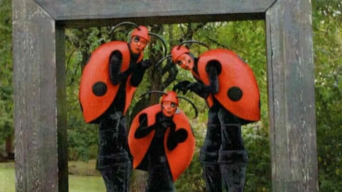 Des coccinelles déambuleront dans les rues d'Hazebrouck. 