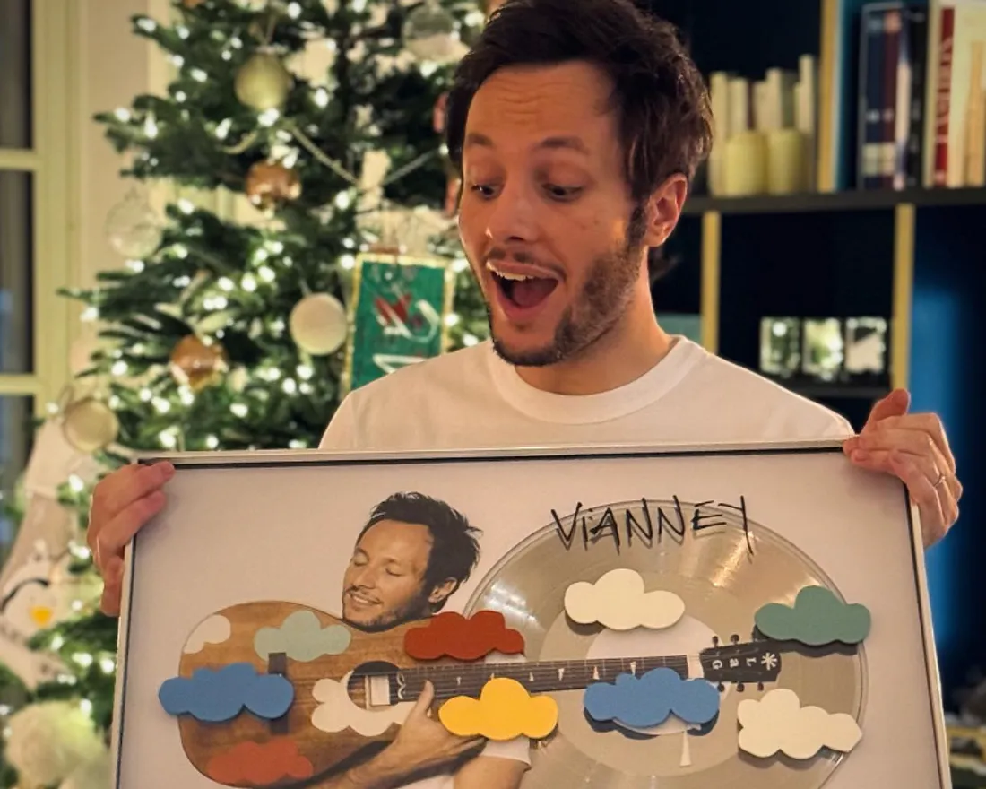 Vianney l'artiste masculin de l'année ?