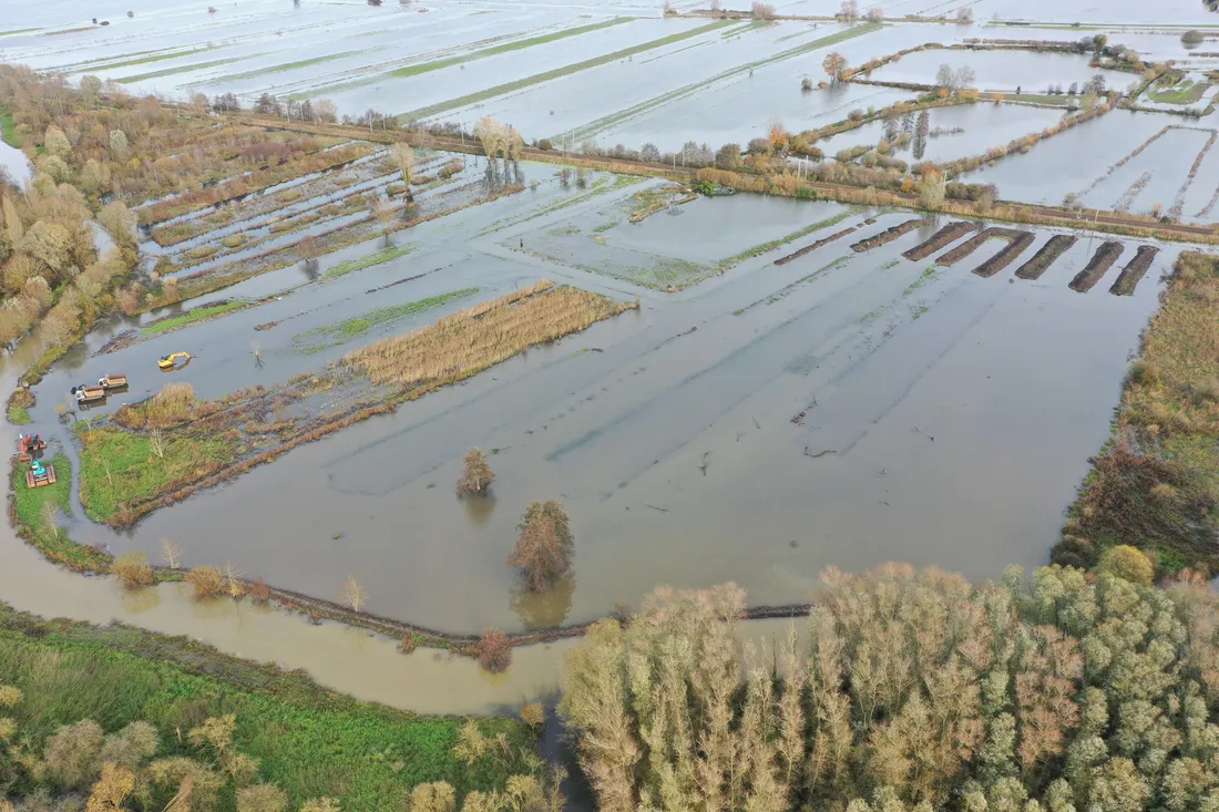 Les images captés par les équipes d'Eden 62 sont impressionnantes 