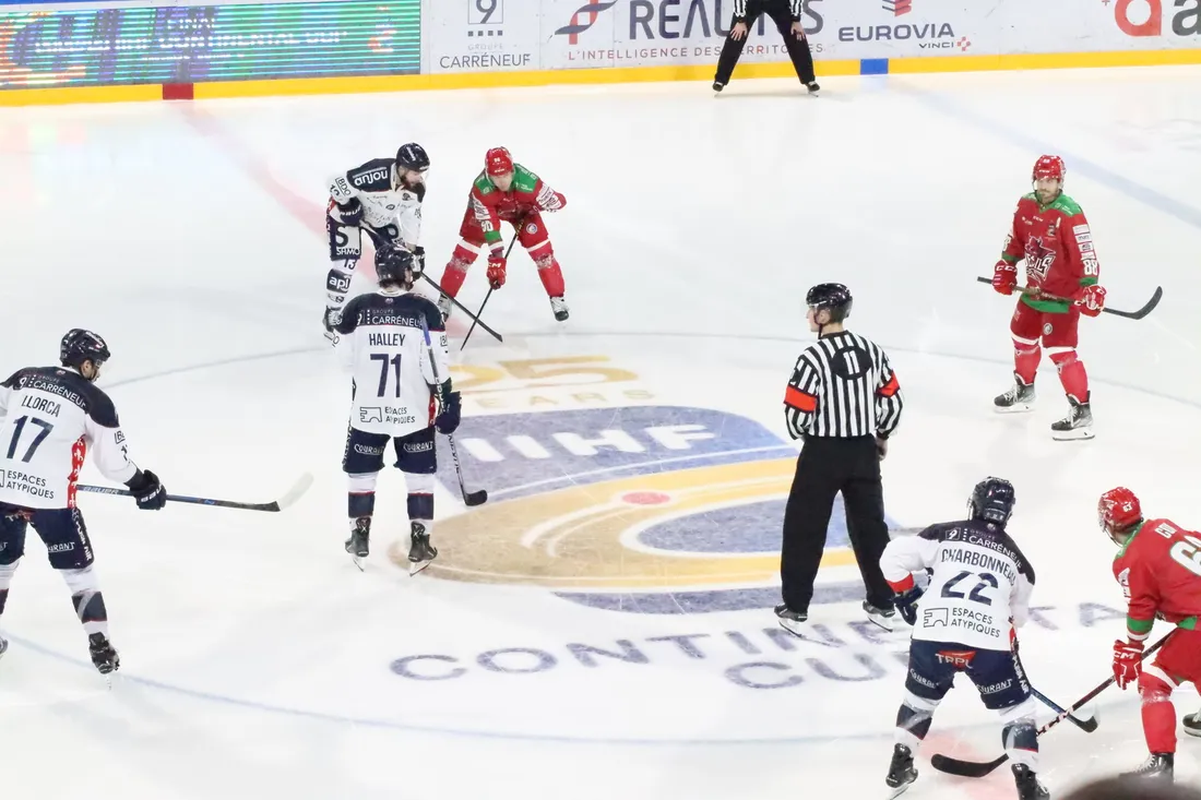 Les Ducs d'Angers face aux Cardiff Devils en Coupe Continentale la saison dernière