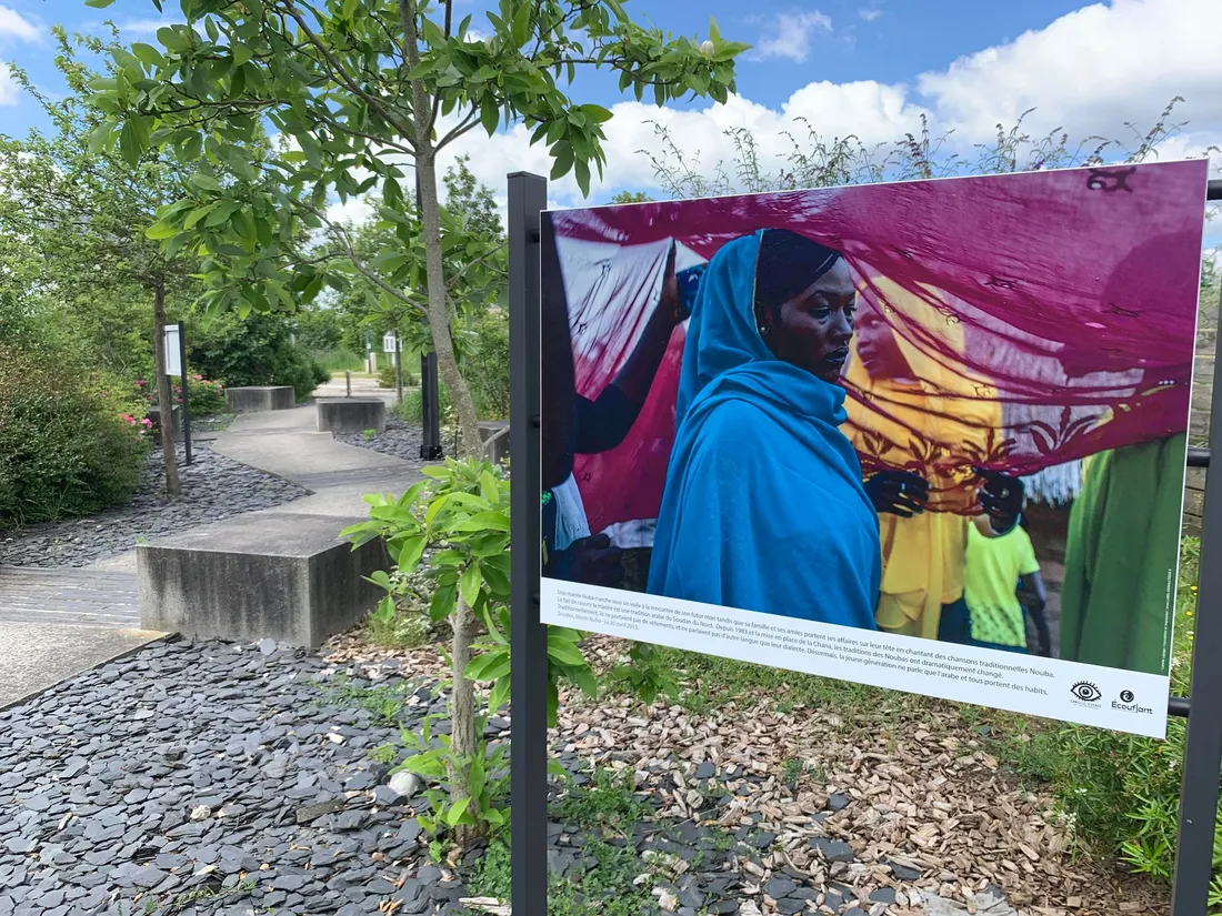 Camille Lepage Photo Ecouflant_31 05 24_AVC