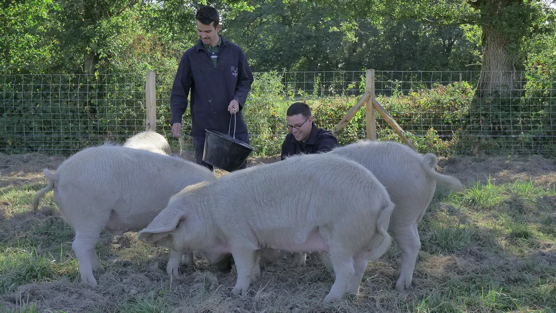 Les Blancs de l'Ouest Pouancé_22 02 23_DR