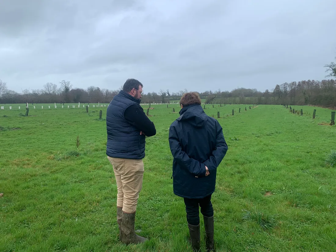 Chemillé Marron Mauges_16 02 26_AVC