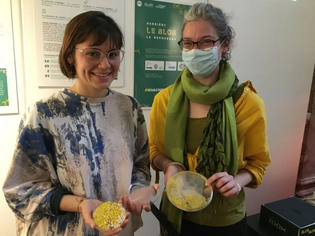 Blob Zooml_07 04 22_AVC