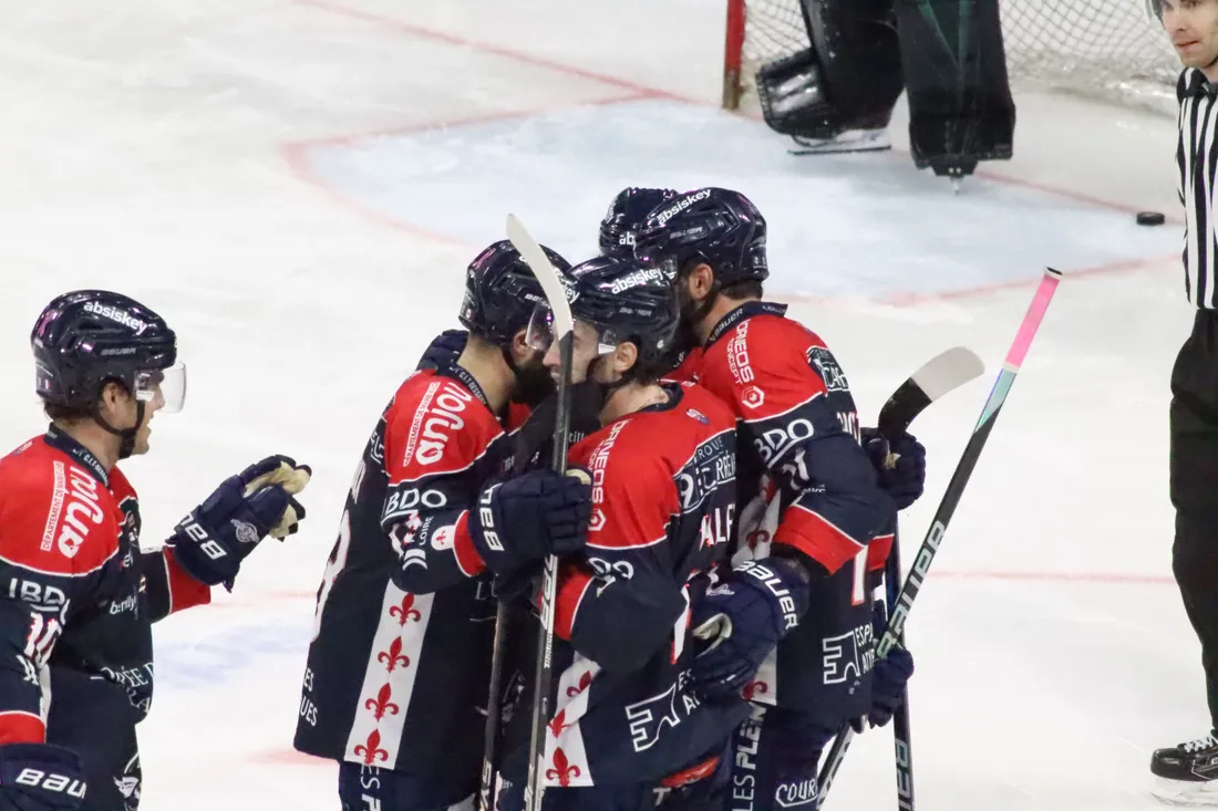 Les Ducs d'Angers retrouvent la glace de l'IceParc cette semaine