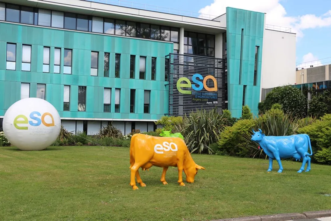 ESA Ecole supérieure des agricultures Angers_08 03 24_©ESA
