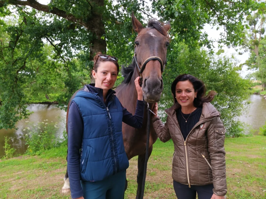 Ecurie d'Apolline Le Bourg d'Iré reconversion chevaux de course_27 05 25_Marie Chevillard