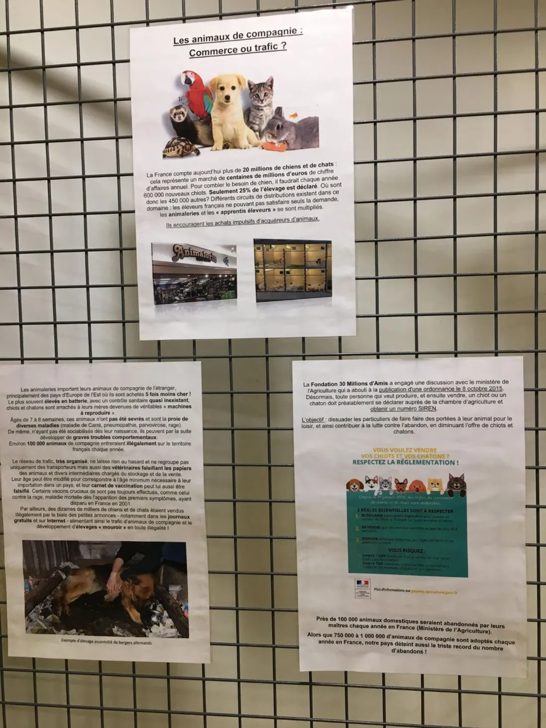 Expo1 Refuge Noël_19 12 22_AVC