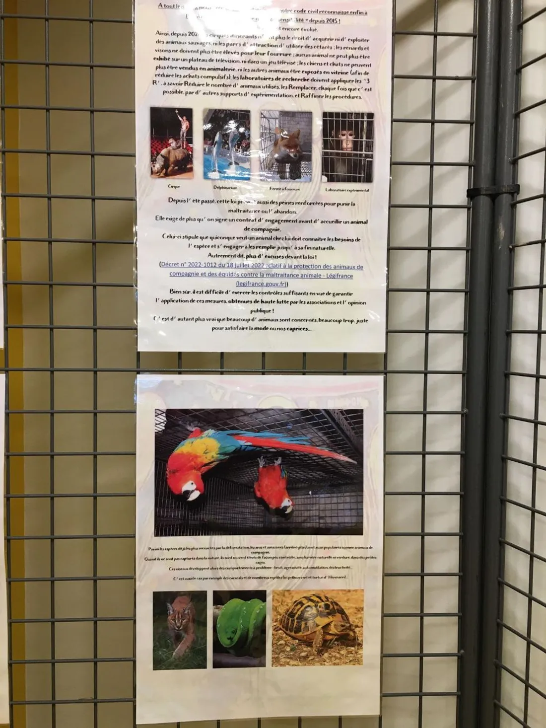 Expo Refuge Noël_19 12 22_AVC