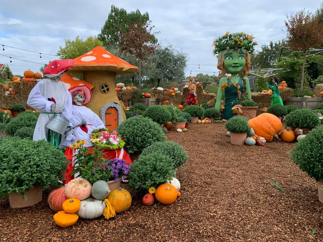 Fête Automne Terra Botanica_02 10 24_AVC