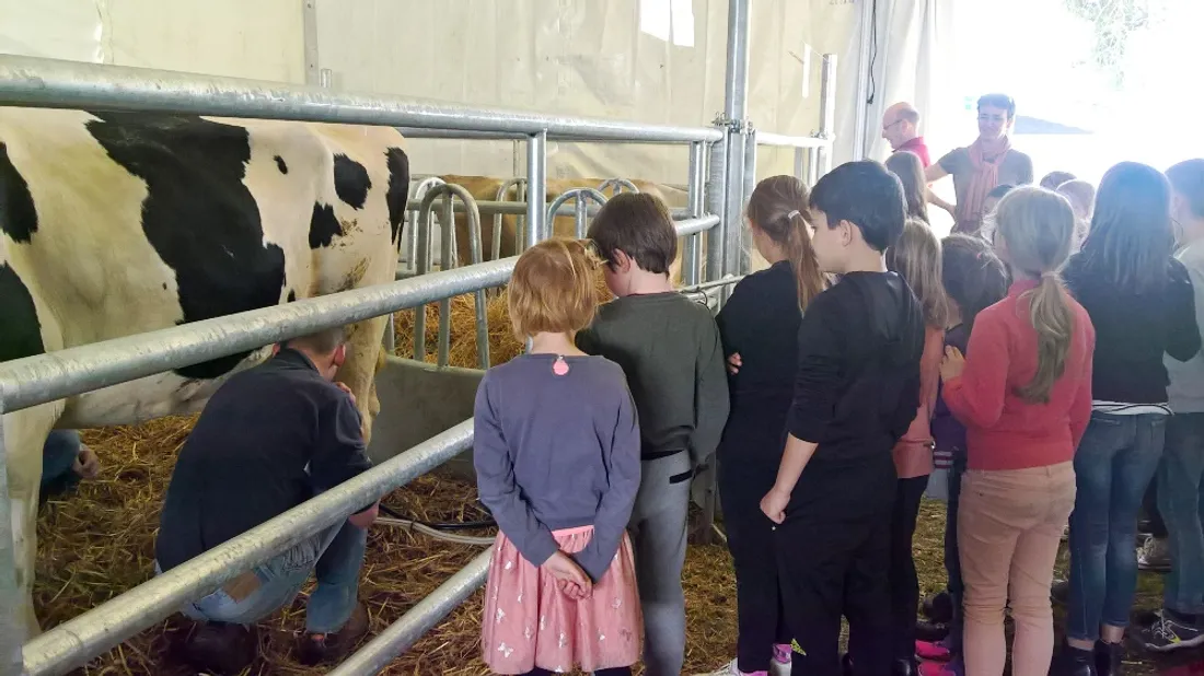 Foire Segré comice agricole enfants_06 04 18_CJ