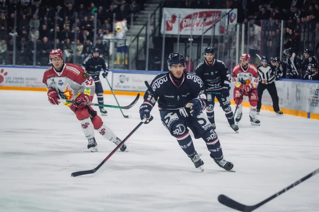 Les Ducs d'Angers sont en finale des playoffs de Ligue Magnus face à Grenoble