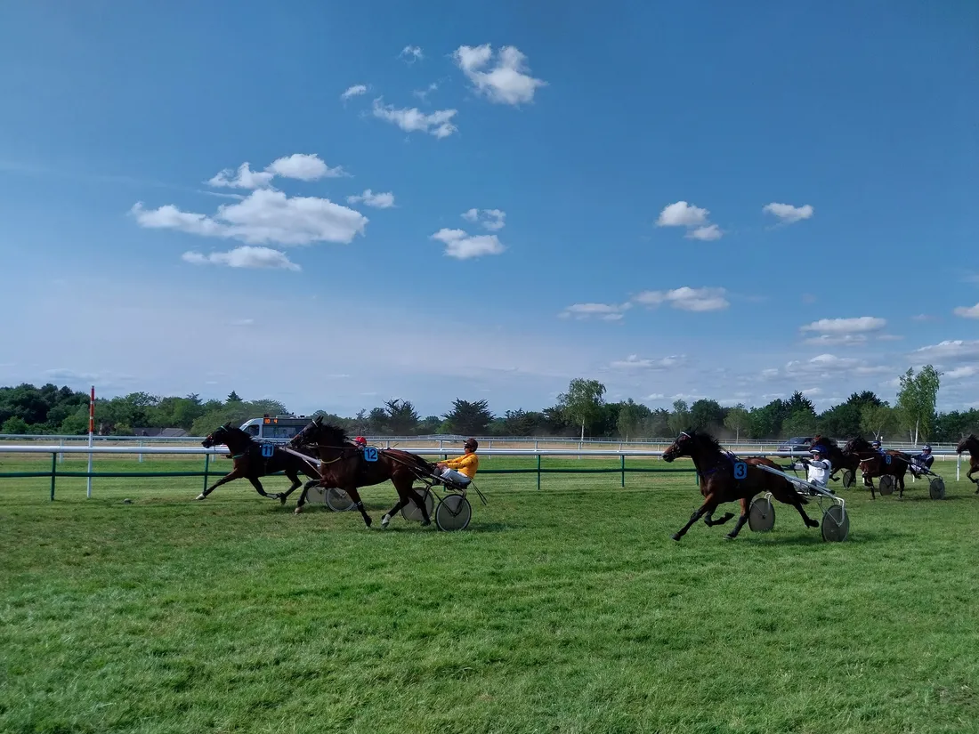 Hippodrome Durtal - Trot