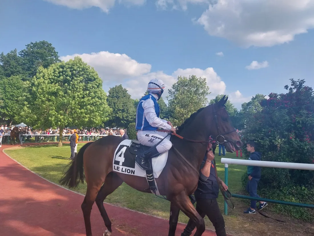 Hippodrome Le Lion-dAngers-4