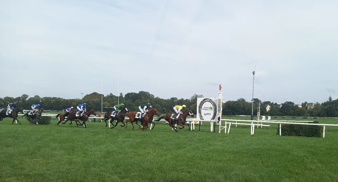 Hippodrome Sable-sur-Sarthe - Plat
