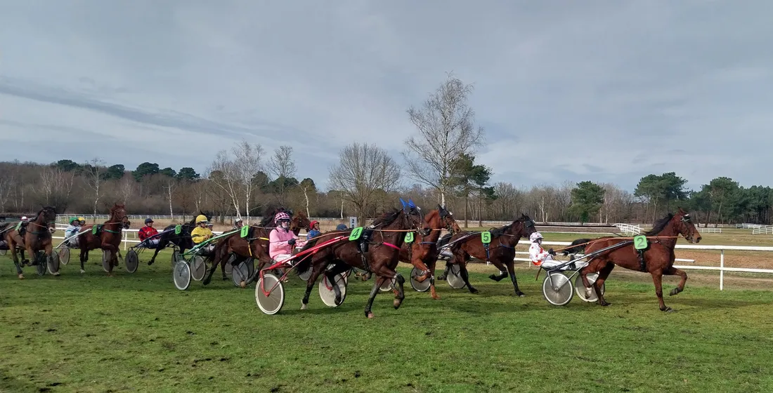 Hippodrome Saumur-Trot-4