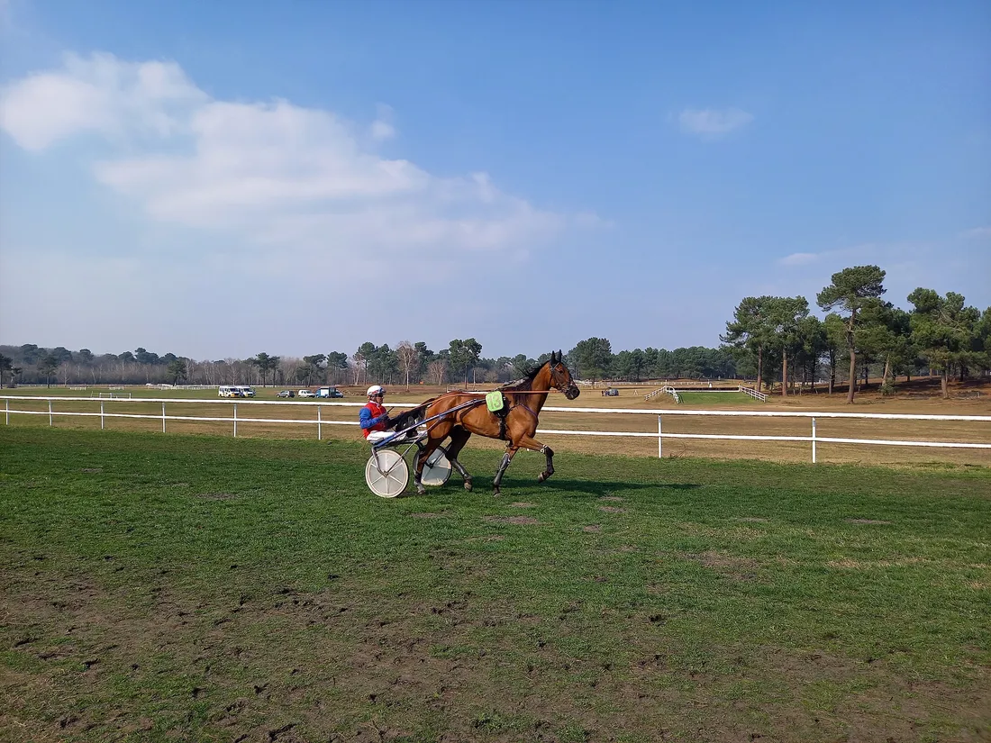 Hippodrome Saumur - Trot-2