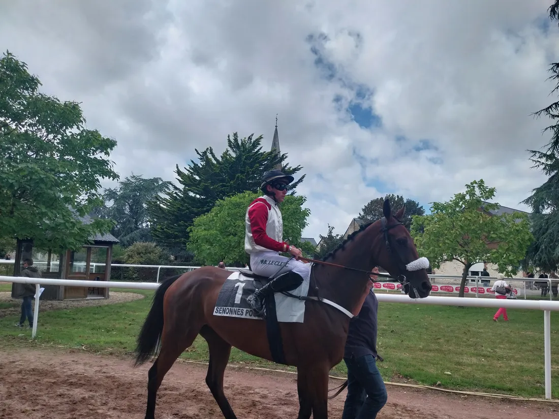 Hippodrome Senonnes-2