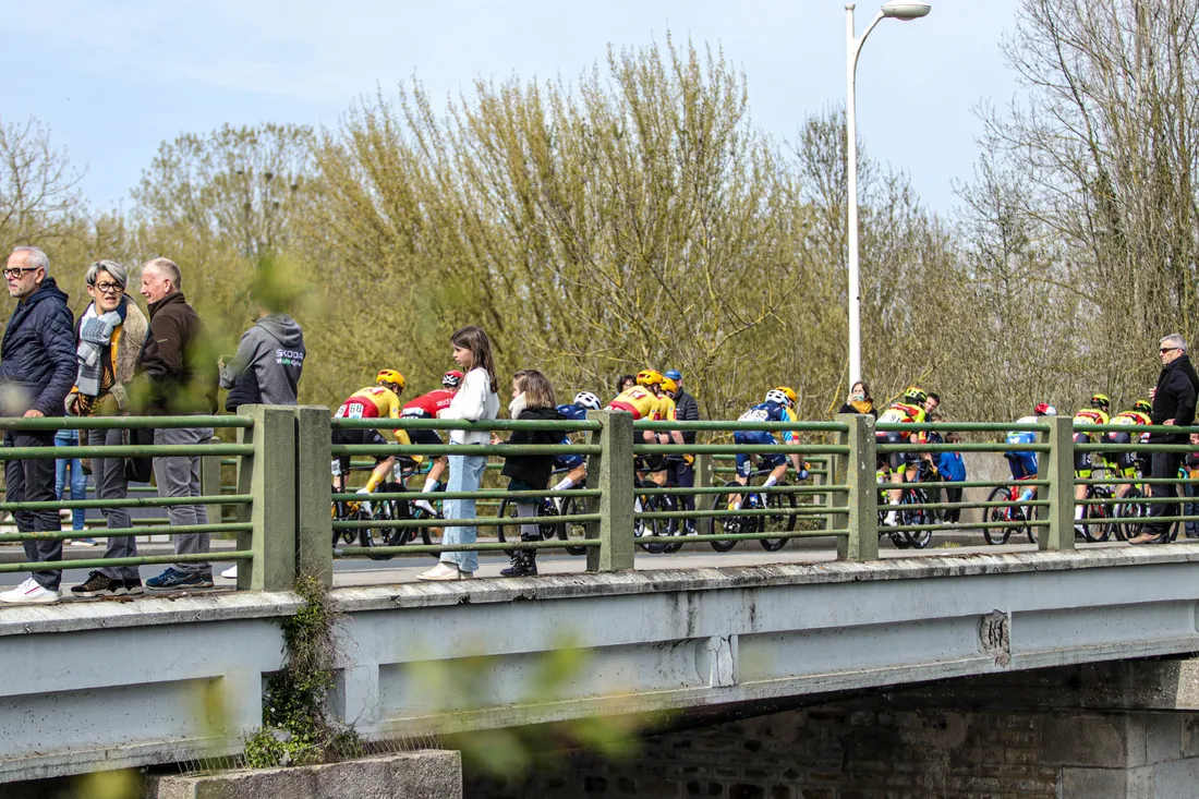 Les coureurs ont traversé le Lion d'Angers.