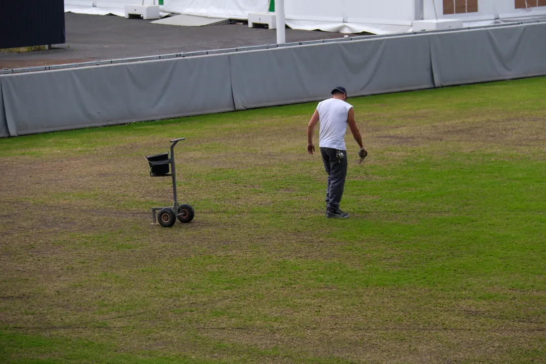 La pelouse est également revue.