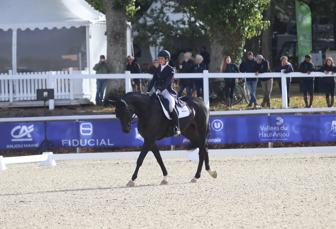 La concentration est maximale durant le dressage.