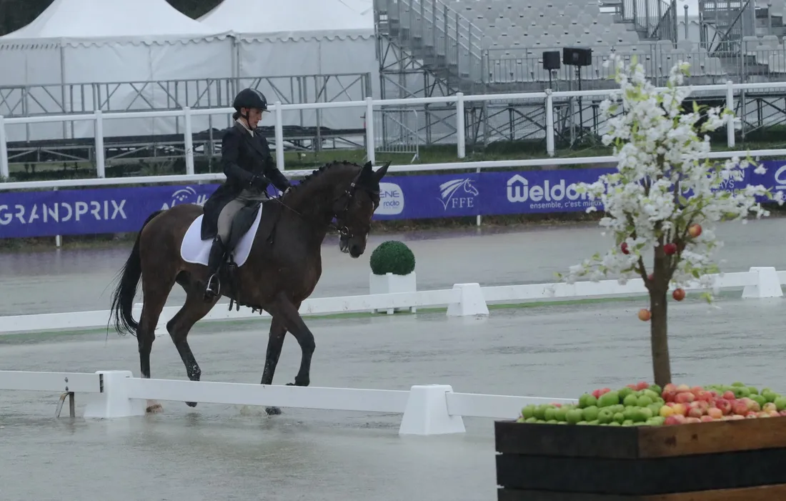 La journée de dressage s'est terminée sous la pluie.