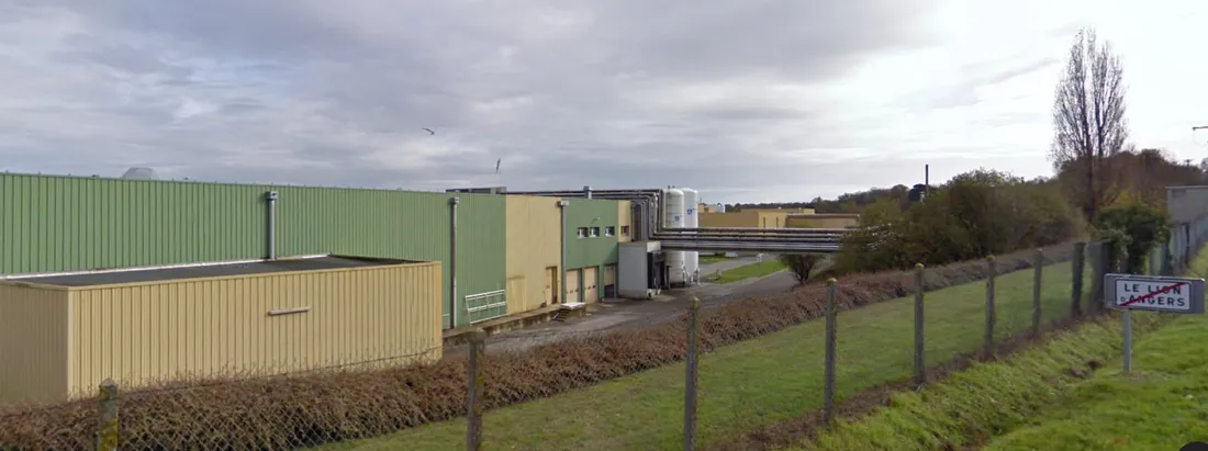 Illustration Elivia_04 11 22_Google Maps