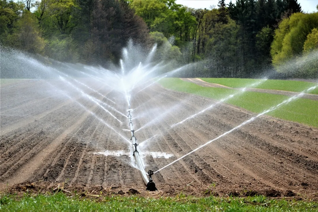 Irrigation eau agriculture champ terre_20 09 22_Envato elements Maginnislaura