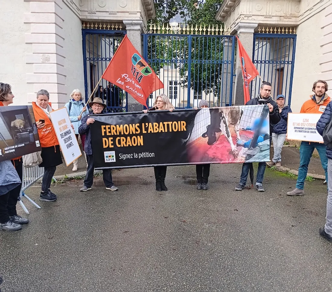 L214 manifestation Laval contre abattoir Craon_24 01 24_Marie Chevillard