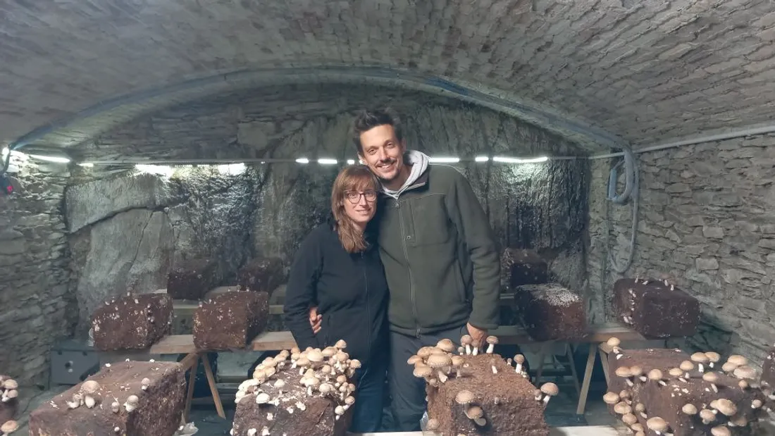 La Ferme de Cédric -  Champignons_10 10 23_DR