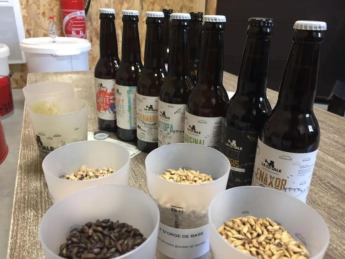 Malt La Côale_06 12 22_AVC