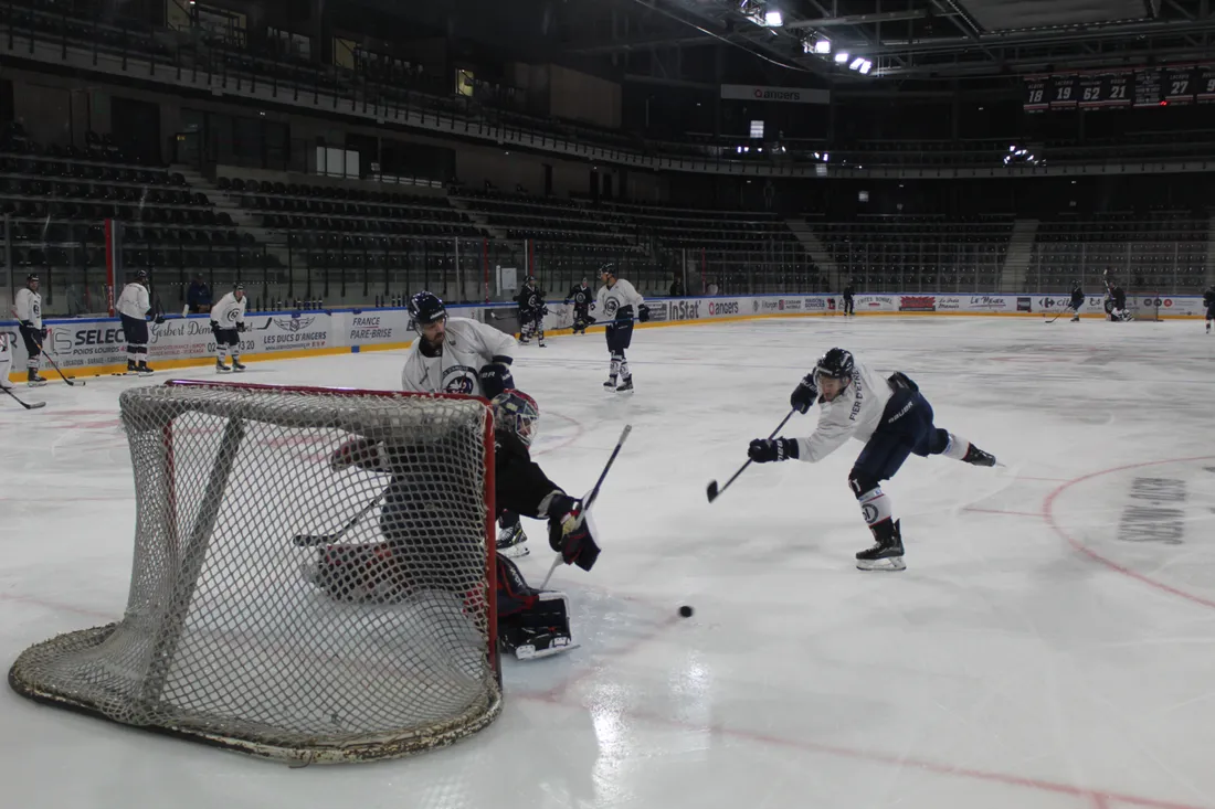 Manavian_Halley_Cowley_Nino_Bourge_Maldinez