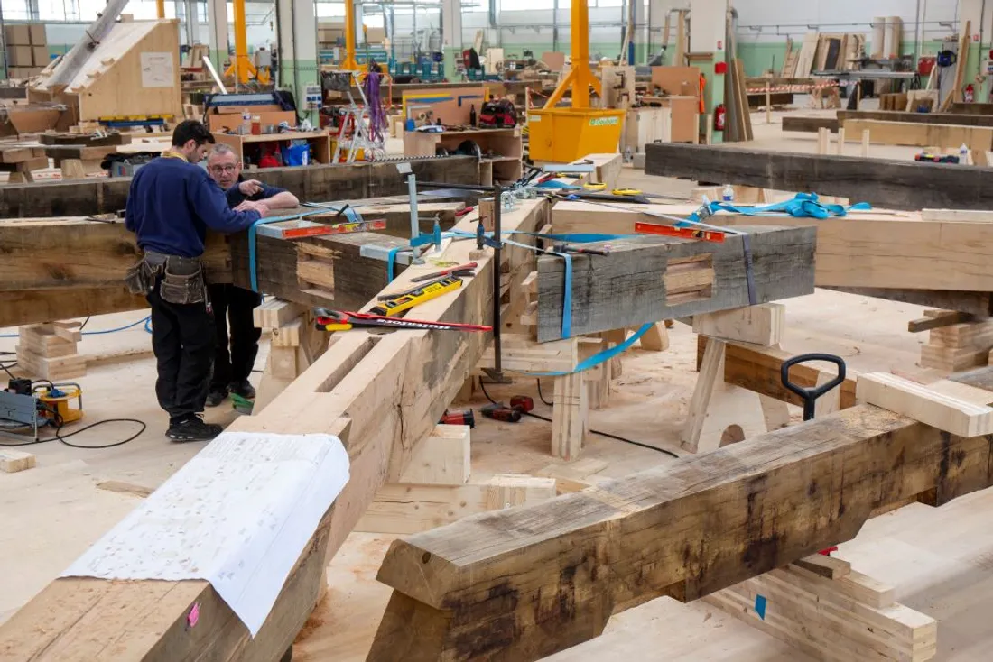 Notre-Dame de Paris Cruard Charpente_03 23_David Bordes